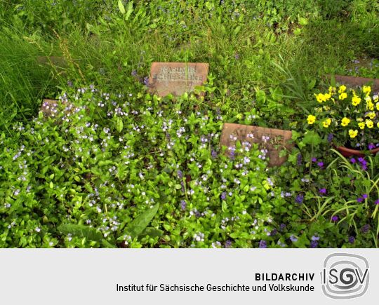 Ortsansicht in Baruth