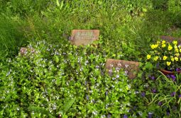 Bild: Ortsansicht in Baruth