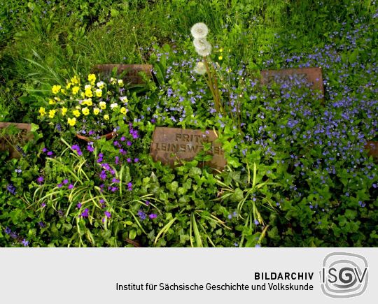 Ortsansicht in Baruth