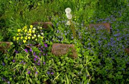 Bild: Ortsansicht in Baruth