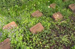 Bild: Ortsansicht in Baruth