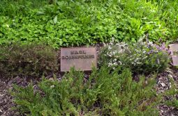 Bild: Ortsansicht in Baruth