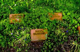 Bild: Ortsansicht in Baruth