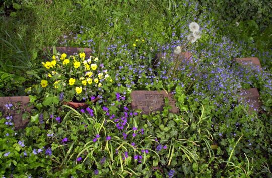 Ortsansicht in Baruth