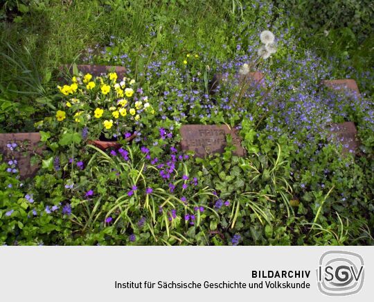 Ortsansicht in Baruth