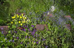 Bild: Ortsansicht in Baruth