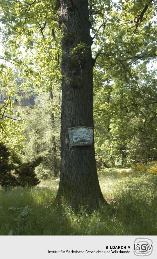 Ortsansicht in Liegau-Augustusbad
