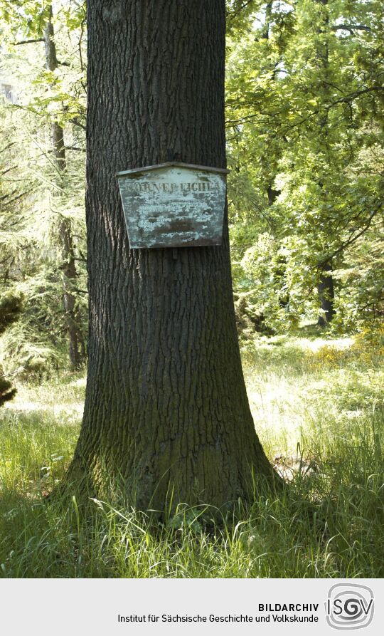 Ortsansicht in Liegau-Augustusbad