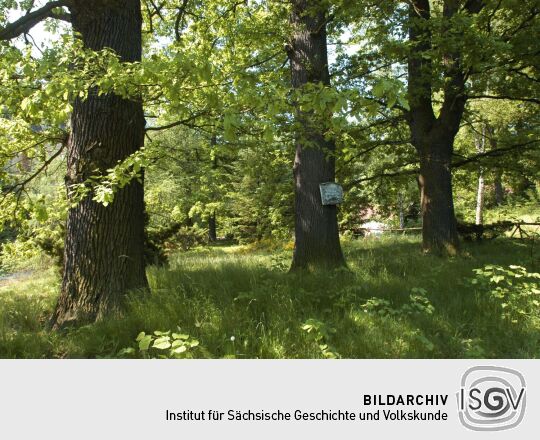 Ortsansicht in Liegau-Augustusbad