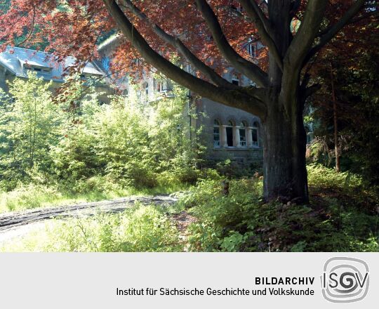 Ortsansicht in Liegau-Augustusbad