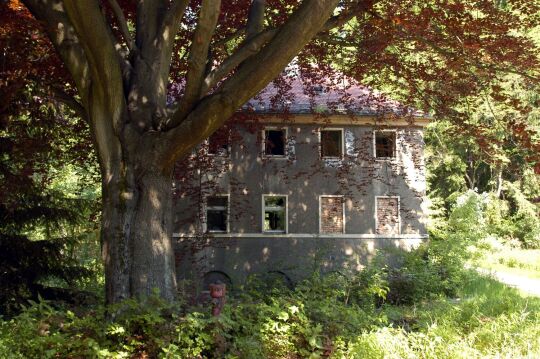 Ortsansicht in Liegau-Augustusbad