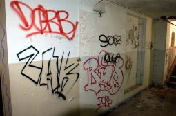 Bild: Ortsansicht in Liegau-Augustusbad