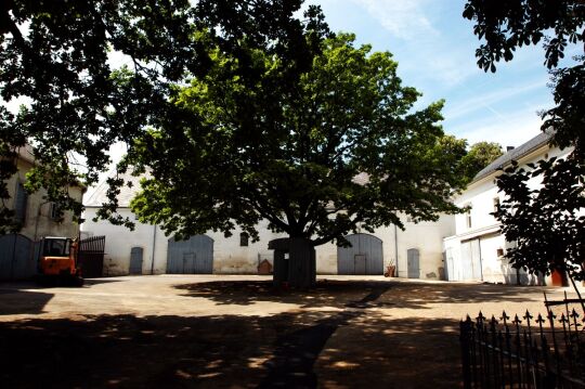 Ortsansicht in Babisnau