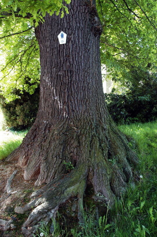 Ortsansicht in Seifersdorf