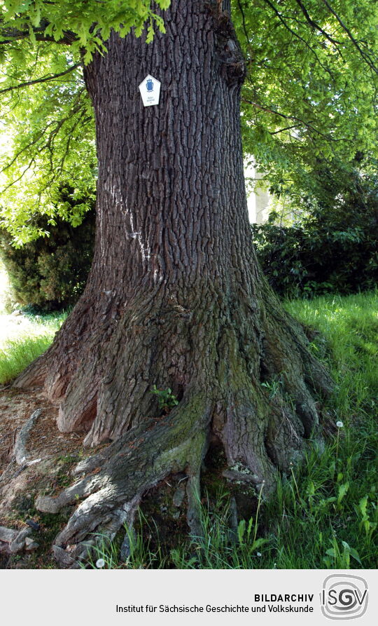 Ortsansicht in Seifersdorf