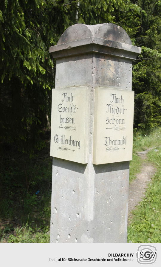 Ortsansicht im Tharandter Wald