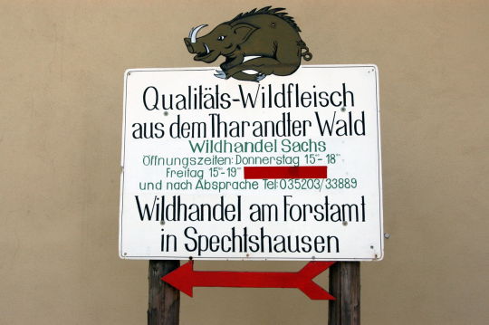 Ortsansicht in Spechtshausen