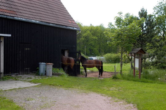 Ortsansicht in Spechtshausen