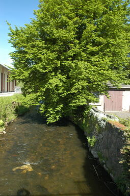 Bild: Ortsansicht in Radeberg