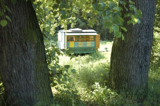 Ortsansicht in Liegau-Augustusbad