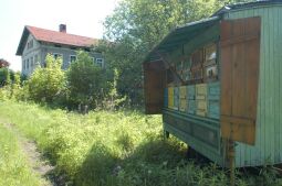 Bild: Ortsansicht in Liegau-Augustusbad