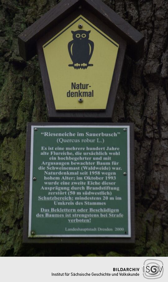 Landschaftsansicht in der Dresdner Heide