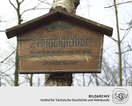 Landschaftsansicht in der Dresdner Heide