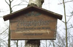 Bild: Landschaftsansicht in der Dresdner Heide