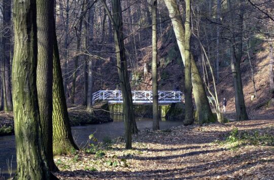 Ortsansicht in Schönborn