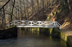 Bild: Ortsansicht in Schönborn