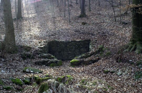 im Seifersdorfer Tal bei Radeberg
