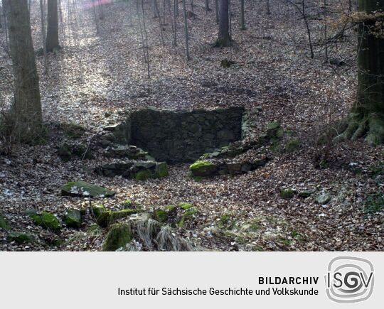 im Seifersdorfer Tal bei Radeberg