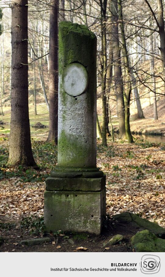 im Seifersdorfer Tal bei Radeberg