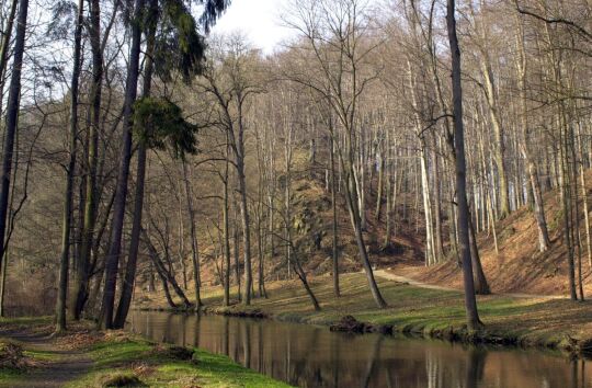 Ortsansicht in Schönborn