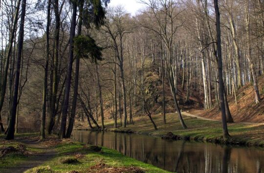 Ortsansicht in Schönborn