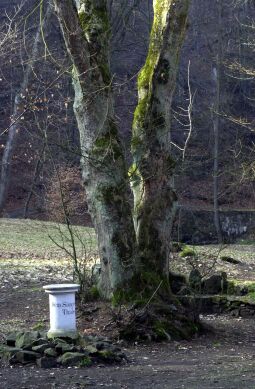 Bild: Ortsansicht in Schönborn