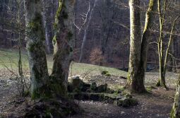 Bild: Ortsansicht in Schönborn