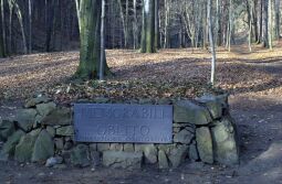 Bild: Ortsansicht in Seifersdorf