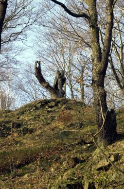 Bild: Ortsansicht in Seifersdorf