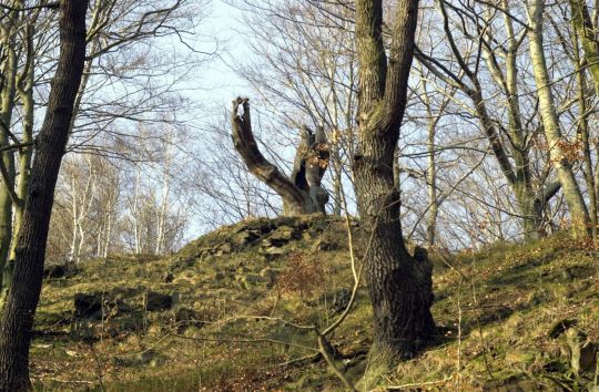 Ortsansicht in Seifersdorf