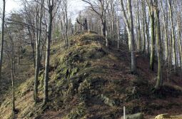Bild: Ortsansicht in Seifersdorf
