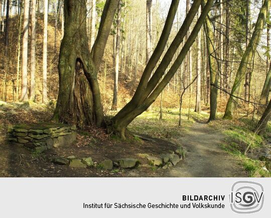 Ortsansicht in Seifersdorf