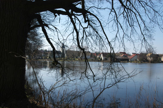 Ortsansicht in Dahlenberg