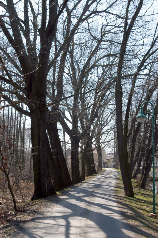 Ortsansicht in Dahlenberg