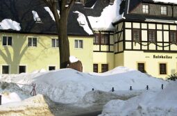 Bild: Ortsansicht in Geising