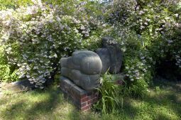Bild: Ortsansicht in Hoyerswerda