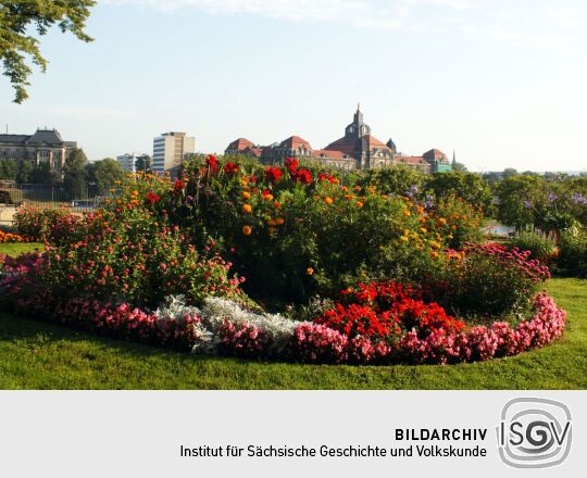 Ansicht von Blumenarrangements- und Pflanzungen