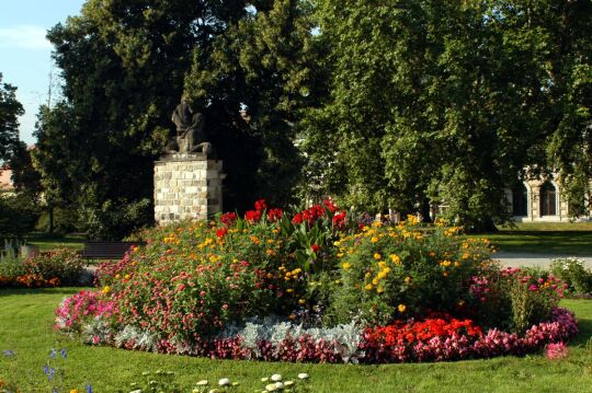 Ansicht von Blumenarrangements- und Pflanzungen