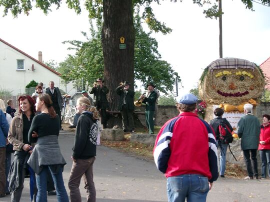 Weideauftrieb in Dresden-Ockerwitz