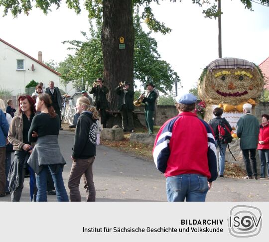 Weideauftrieb in Dresden-Ockerwitz